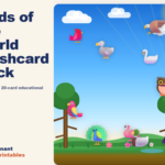 Birds of the World — Flashcard Deck