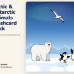 Arctic & Antarctic Animals — Flashcard Deck
