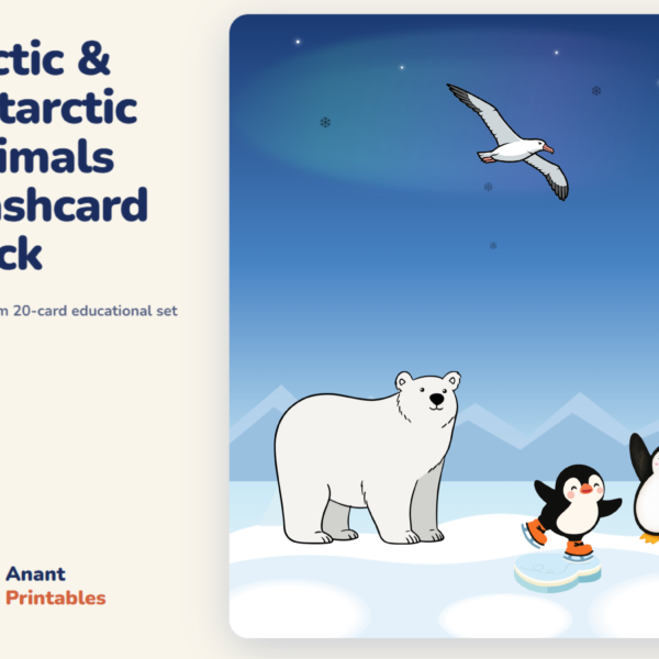 Arctic & Antarctic Animals — Flashcard Deck