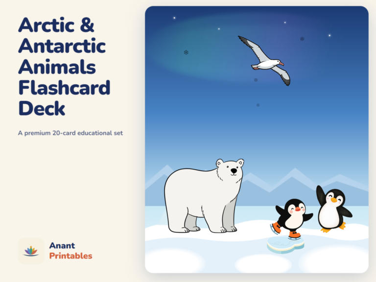 Arctic & Antarctic Animals — Flashcard Deck